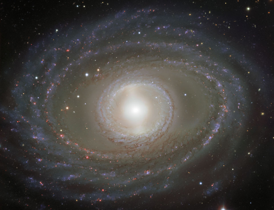 螺旋星系 NGC 1398 的丝带和珍珠