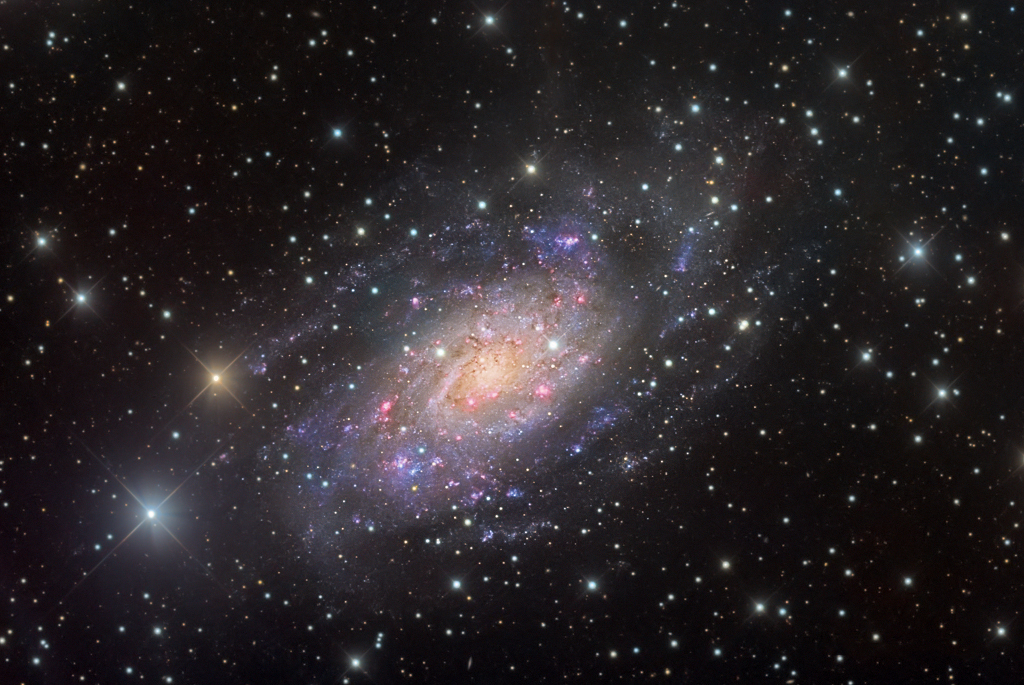 NGC 2403 在鹿豹座