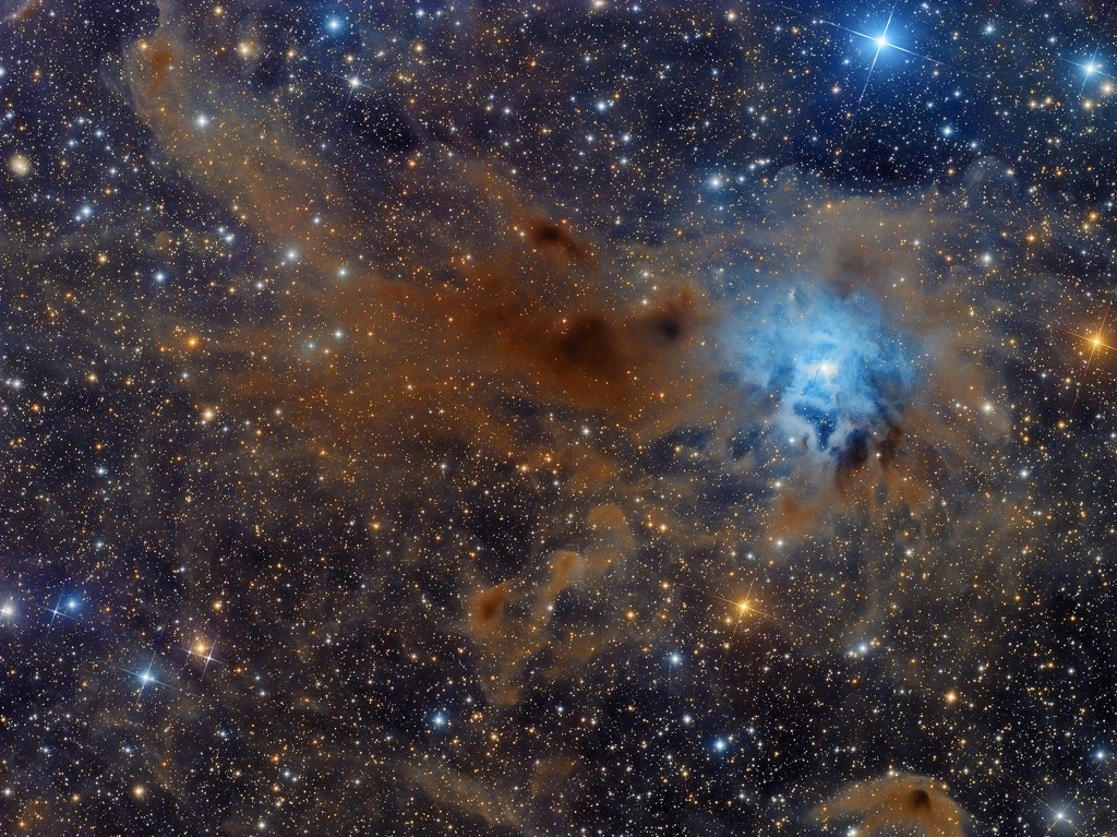 NGC 7023：虹膜星云