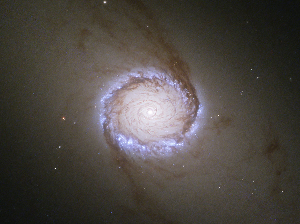 旋涡星系NGC 1512:核环