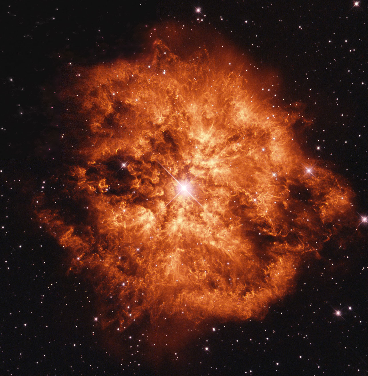 Wolf-Rayet Star 124：恒星风力机